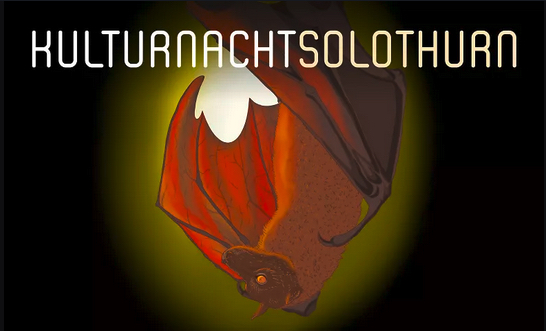 Kulturnacht Solothurn